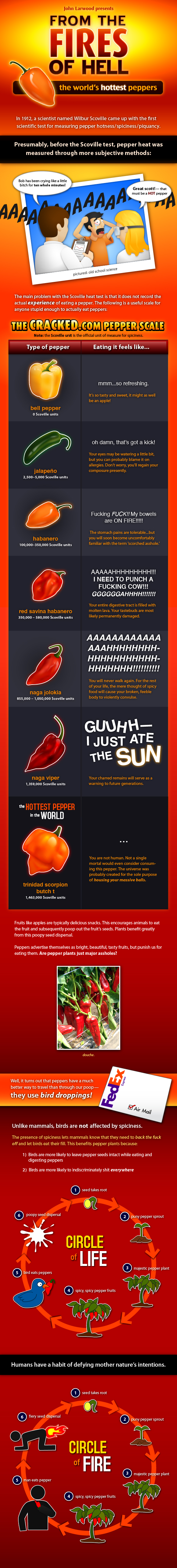 From the Fires of Hell: The World's Hottest Peppers infographic
